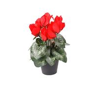 FloristryWarehouse Bouquet de cyclamen en soie synthétique rouge en pot 25 cm de haut