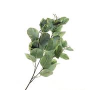 FloristryWarehouse Branche de feuillage d'eucalyptus populus imitation soie Vert 84 cm