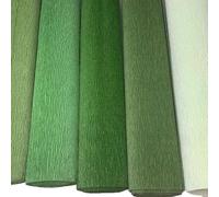 FloristryWarehouse Lot de 5 rouleaux de papier crépon italien Vert 180 g