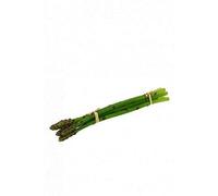 FloristryWarehouse Lot de 5 tiges d'asperges artificielles 24 cm de long