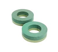 FloristryWarehouse Oasis Anneaux de cadre en mousse 20 cm de diamètre