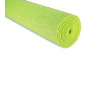 FloristryWarehouse Rouleau de papier crépon 90 g (50 x 150 cm) Vert perruche (teinte 353)