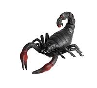 FLORMOON Figurines d'animaux réalistes Scorpion Action Model Science Projet scientifique, jouets éducatifs d'apprentissage, cadeau d'anniversaire, décoration de gâteau pour enfants