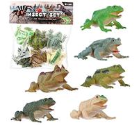 FLORMOON Lot de 6 figurines d'animaux réalistes en forme de grenouille pour projet scientifique, jouets éducatifs, cadeau d'anniversaire, décoration de gâteau pour enfants