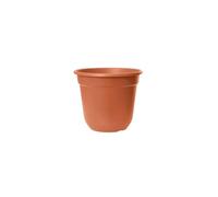 Florus Vaso Original Flowerpot 24cm Terracotta Multicolore