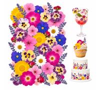 Floruvia 70 Fleurs Séchées Naturelles, 11 Variétés pour Décorer Gâteaux Et Cocktails, Fleurs Pressées pour Pâtisserie Et Boissons