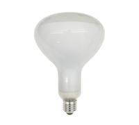 Ampoule LED E27 12W Luminator/ Parentesi 2700K/1180lm
