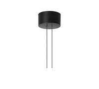Flos Arrangement Rose coupelle de plafond Black. big