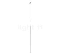 Flos My Lines Suspension LED