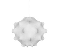Flos Taraxacum 1 Suspension