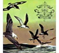 Flotation Toy Warning - Bluffers Guide to The Flight D [Import]
