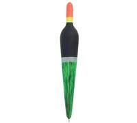 Flotteurs mer Ragot Truite 3g (x2) Multicolore 3 g