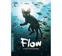 Flow DVD C