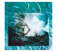 Flow motion E