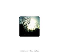 Flow Motion by Eccotonic