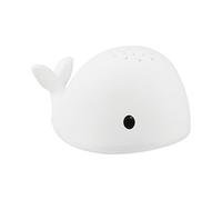 Flow Projector Moby