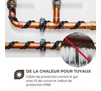 Flow Wire câble antigel 4 m avec thermostat IP68