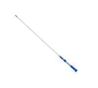 Bestway Aspirateur Piscine Rechargeable Aquasurge pour piscines jusqu'à 6,10m