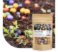 Flower Bombs : 50x Bombes de graines ‘’Originals’’ - Graines 100% biologiques - Bombes de fleurs sauvages - Colorées et joyeuses - Fabriquées à la main avec amour - Un joli cadeau à offrir !