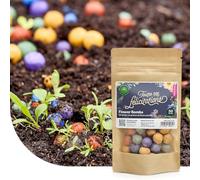 Flower Bombs : 50x Bombes de graines - Toutes nos félicitations ! - Graines 100% biologiques - Bombes de fleurs sauvages - Colorées et joyeuses - Fabriquées à la main - Un joli cadeau à offrir !
