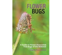 Flower Bugs: A Guide to Flower-Associated True Bugs of the Midwest