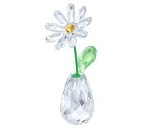 Flower Dreams Marguerite OS