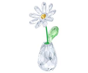 Flower Dreams Marguerite OS