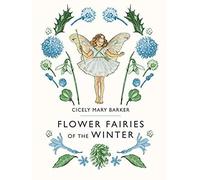 Flower Fairies Of The Winter
