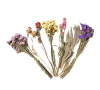 Flower Hamster Bedding - Natural Grass, 9.84in Animal Flowers Habitat Decor Hand-Picked Floral Blend | Soft Nest Eco-Friendly Small Pet Bedding, Decorative Cage Accessory For Hamsters, Gerbils, M