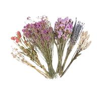 Flower Hamster Bedding - Natural Grass, 9.84in Animal Flowers Habitat Decor Hand-Picked Floral Blend | Soft Nest Eco-Friendly Small Pet Bedding, Decorative Cage Accessory For Hamsters, Gerbils, M