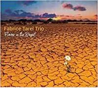 Flower In The Desert