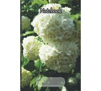 Flower Notebook: The Perfect Gift For Your Mother, Grandmother, Teacher, Girlfriend , 6x9, 120 Pages, Lined