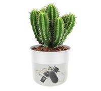 Flower Pot de monnaie Safe,Double couche Anti-Theft Hider | Container Secret Storage with Money Bag and Lock | for Cash Key Ring Watch Valuables Coin Jewelry