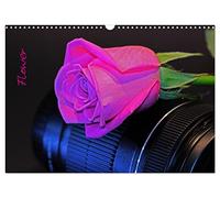 Flower (Wandkalender 2026 DIN A3 quer), CALVENDO Monatskalender: Aus Liebe zur Fotografie