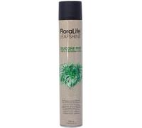 Flowerbox Oasis Floralife Spray brillant sans silicone pour plantes d'intérieur et plantes vertes 750 ml