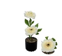 Floweringbeter Bonsaï de pivoine artificielle en soie avec structure à double floraison pour la maison, le bureau, pour un mariage et une utilisation photo (vin sauvage)