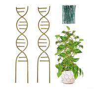 Floweringbeter Ensemble de treillis pour plantes destiné à être placé à l'intérieur pour faciliter la circulation de l'air autour du feuillage et encourager les motifs de croissance vigoureux (doré)