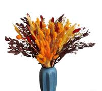 Floweringbeter Lot de 94 fleurs séchées d'automne avec eucalyptus, herbes et roseaux pour décoration de maison et d'événement et projets floraux