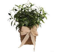 Floweringbeter Panier suspendu en plastique tissé pour décoration murale d'intérieur, conçu dans un style rustique pour présenter des arrangements floraux et ajouter une sensation chaleureuse et