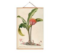 Flowers affiches eicie OFFRE SPECIALE - 4052115045267