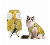 Flowers in The Park Combinaison de convalescence pour chiens et chats après une chirurgie, chemise de convalescence pour animal domestique