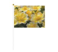 Flowers in the Park Lot de 6 petits drapeaux sur bâtons - Durable 14 x 21 cm - Mini drapeaux pour cour, jardin et décoration extérieure
