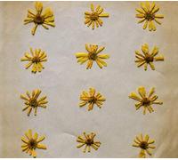 Flowers in the Spring