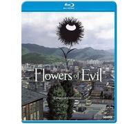Flowers Of Evil [Usa][Blu-Ray] Anamorphic, Subtitled