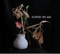 FLOWERS WE ARE - CD - E4z