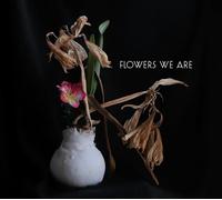 Broken Silence – Flowers We Are - Flowers We Are