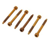 Floyd Rose Floyd Rose FROSLSGDP String Lock Screws