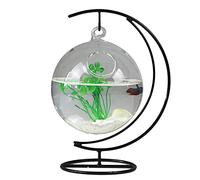 Flueyer Petit aquarium en verre à suspendre, mini aquarium avec support, terrarium transparent pour Betta Fish Home Decor