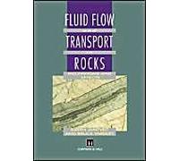 Fluid Flow And Transport In Rocks