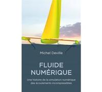 Fluides numériques Michel Deville (Auteur)